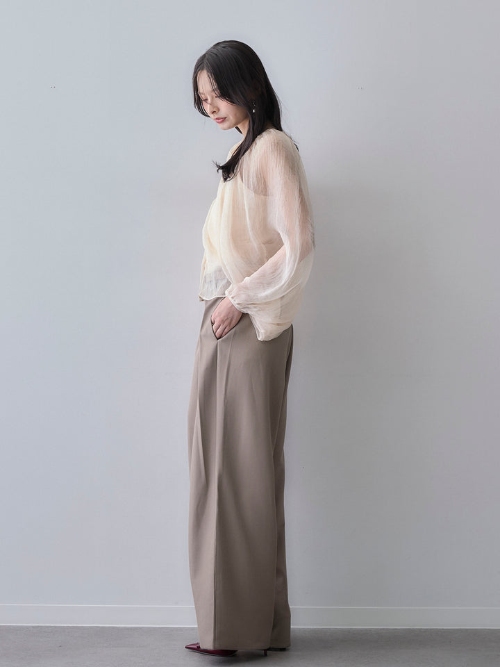 [SET]シャイニーシアーボリュームスリーブブラウス+ツイルタックワイドパンツ(2set)