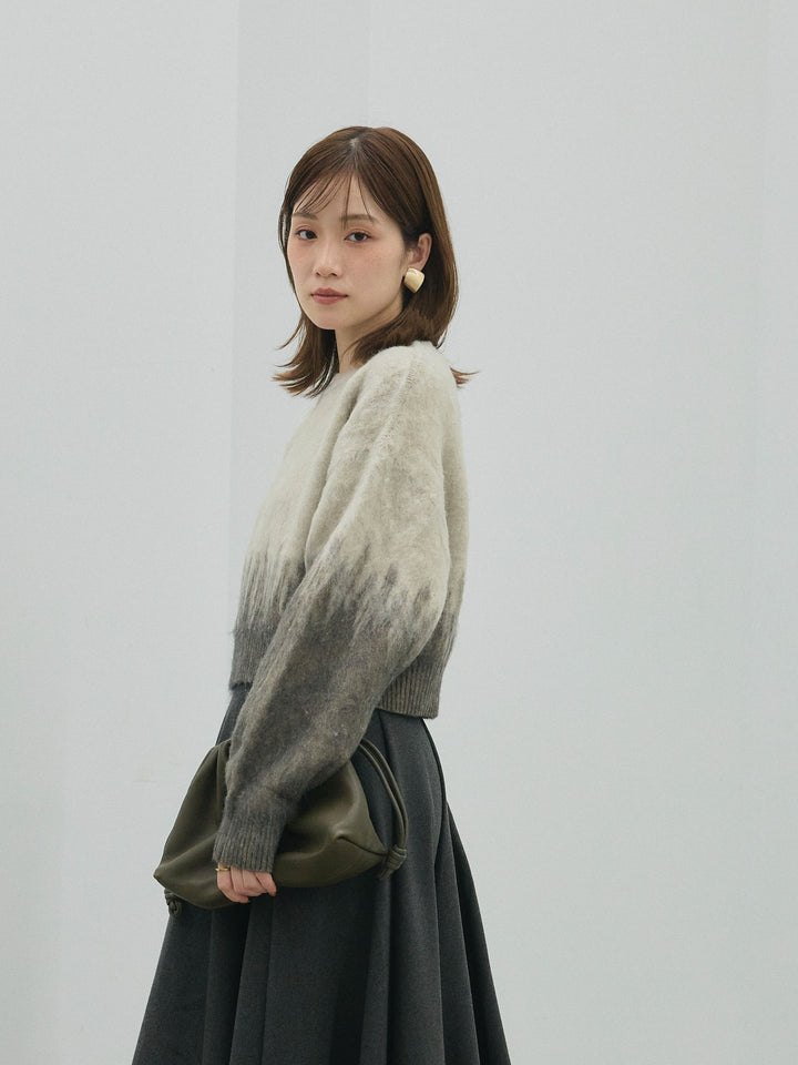 【Allure】[SET]グラデージョンクロップドシャギーニットプルオーバー+ウールタッチフレアスカート(2set)