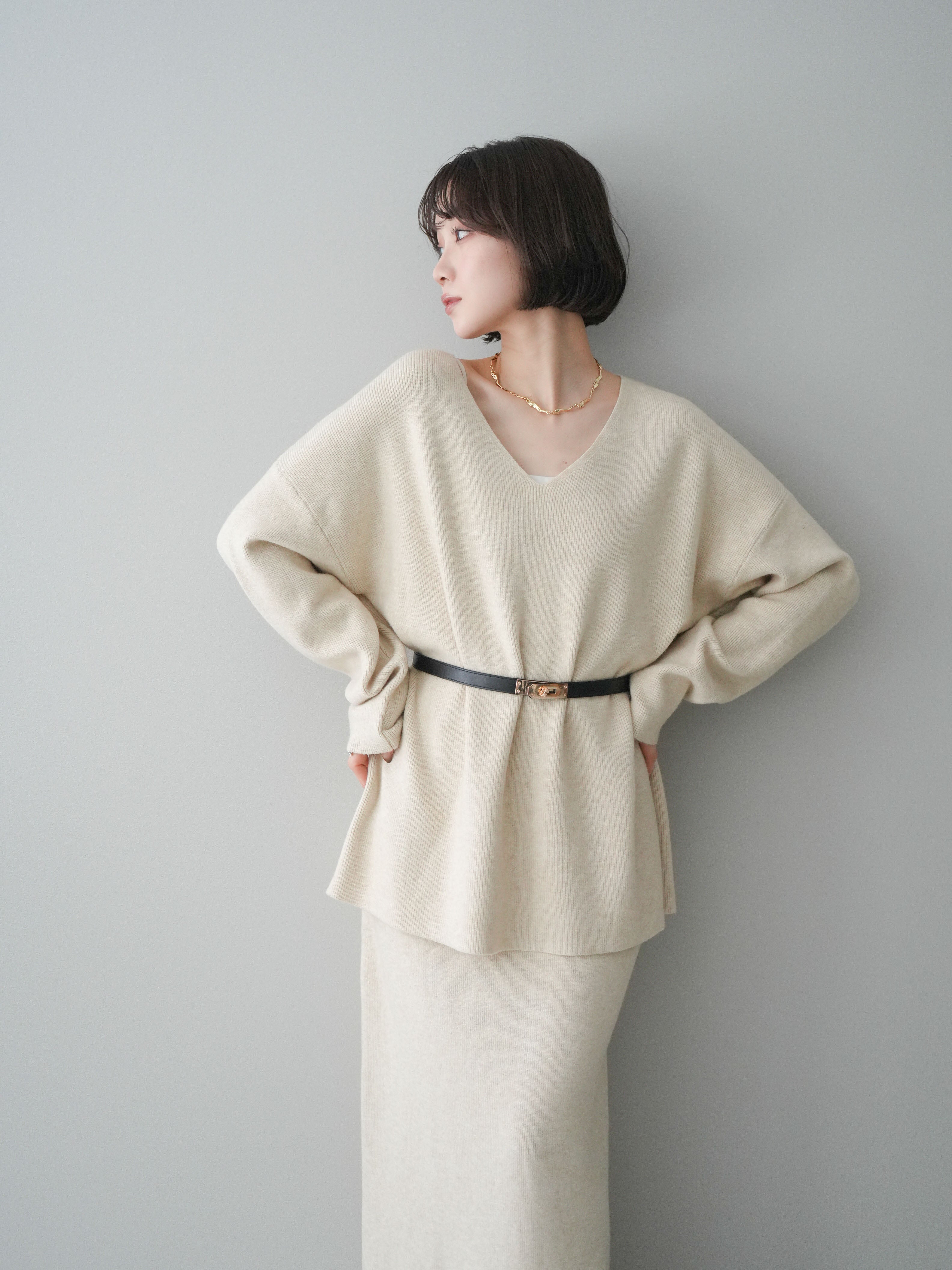 SET]ベルト付Vネックニット＆スカートSET UP(2set) – Lumier