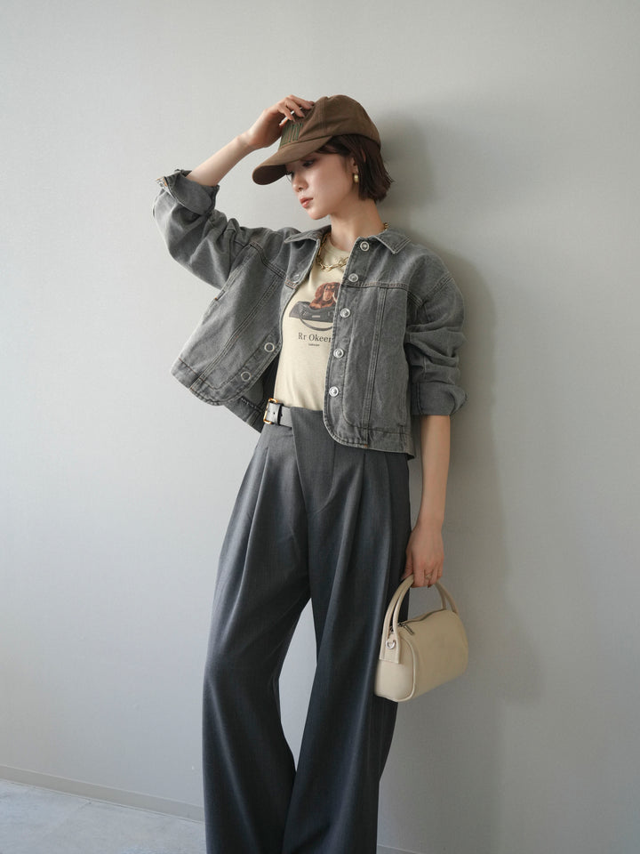 [SET]ラウンドカットコンパクトデニムジャケット+ドッグコンパクトTEE(2set)