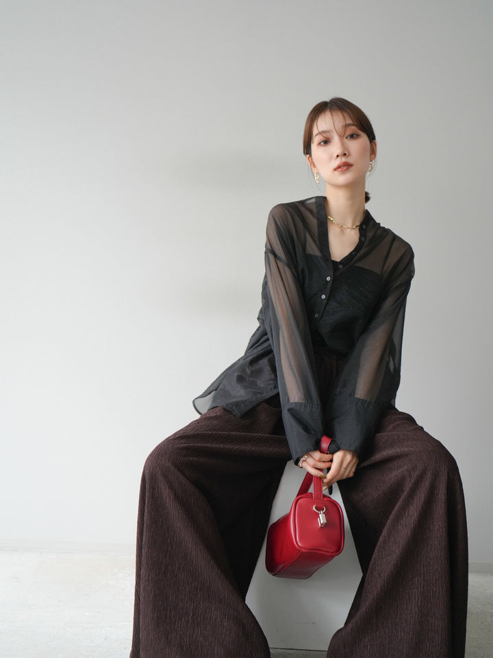 [SET] 亮面透視立領襯衫 + 柳葉寬褲 (2set)