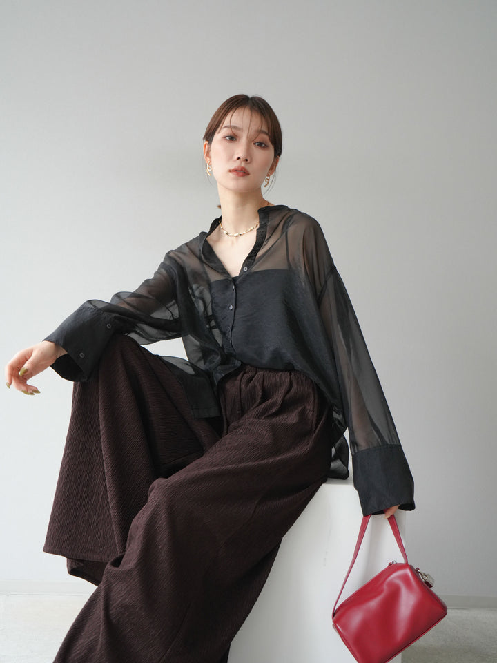 [SET] 亮面透視立領襯衫 + 柳葉寬褲 (2set)