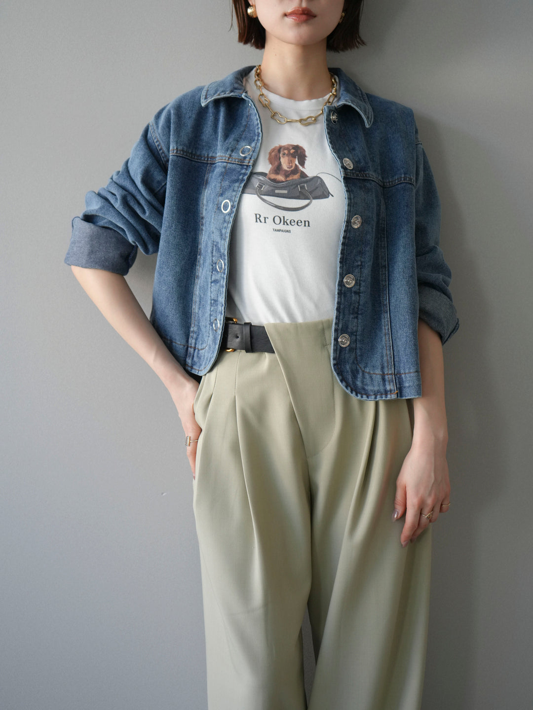 [SET]ラウンドカットコンパクトデニムジャケット+ドッグコンパクトTEE(2set)