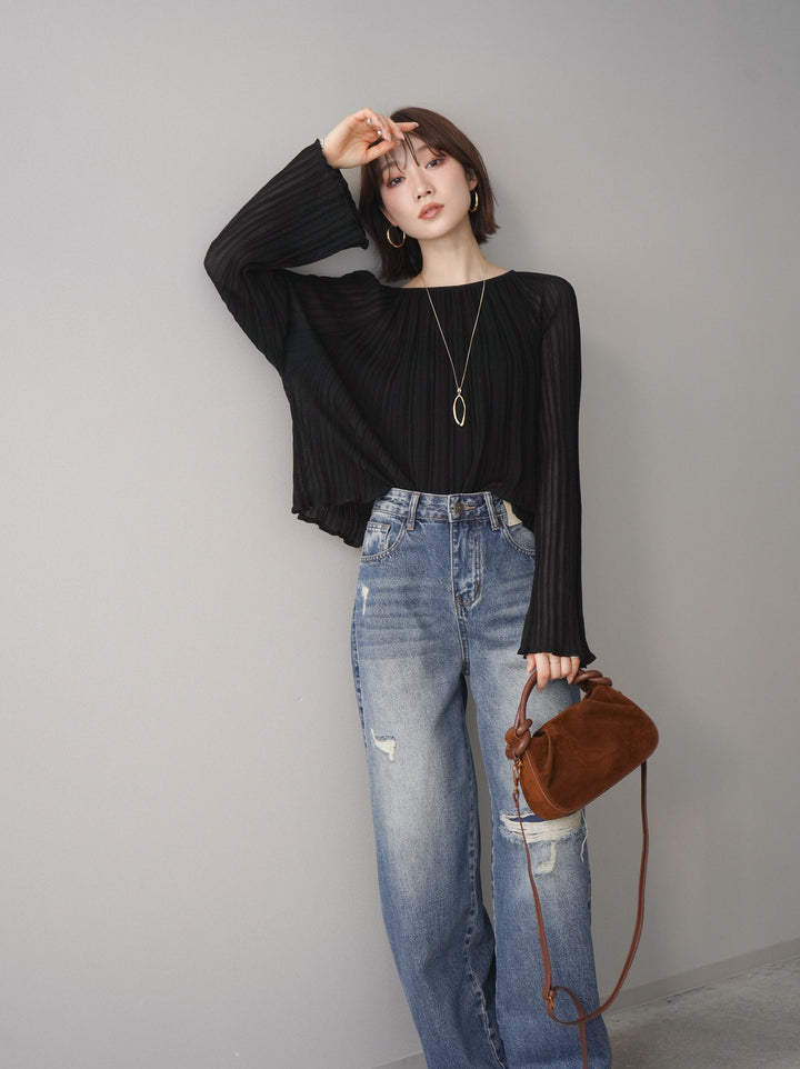 [SET]プリーツシアーフレアスリーブニットトップス+選べるアクセセット(2set)