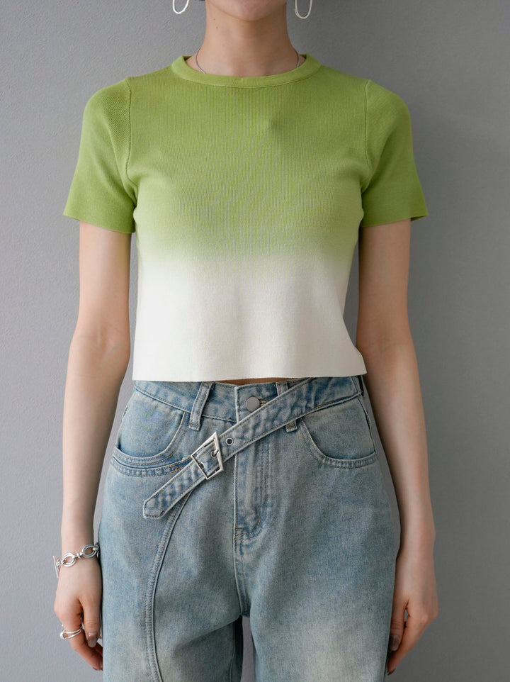 [Pre-order] Gradient knit T-shirt/Green