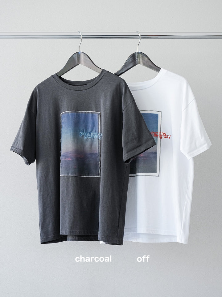 [SET] 薄紗層疊印花T卹 + 透視格紋寬鬆褲 (2件套)