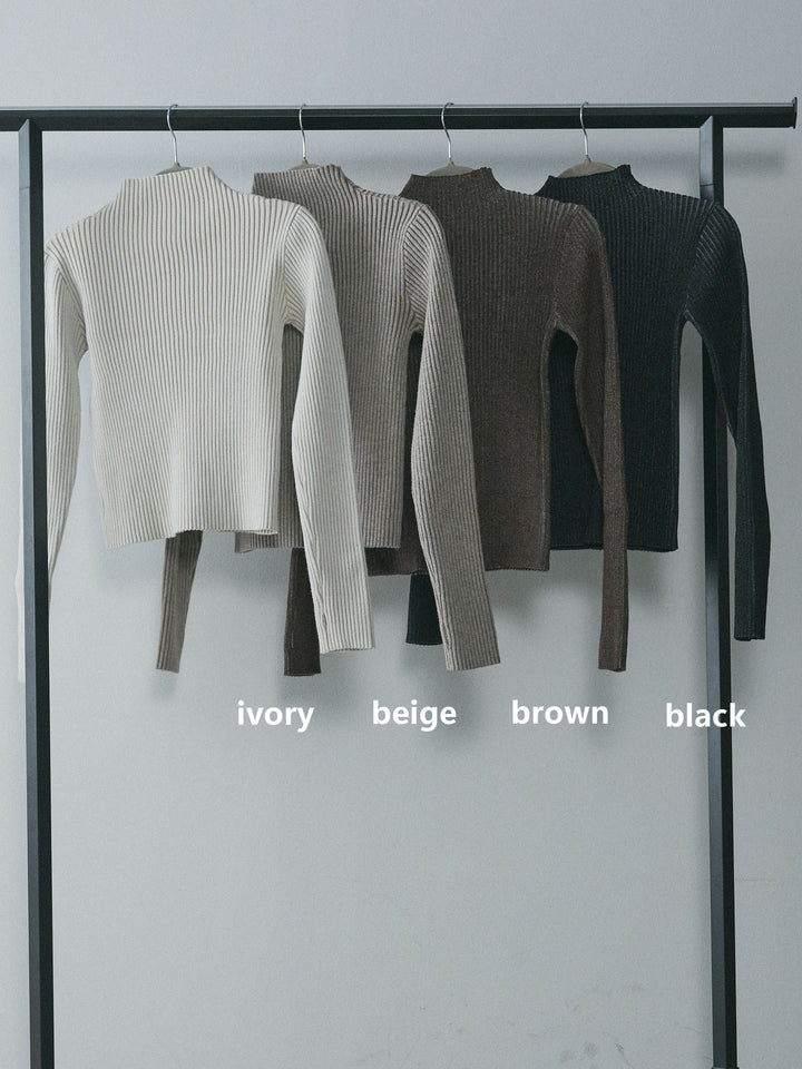 【Allure】[SET]プレーティングハイネックプルオーバー+プレーティングハイネックプルオーバー(2set)