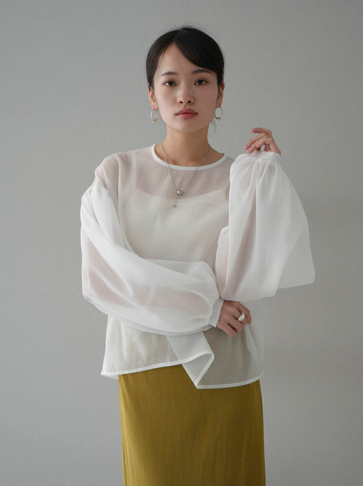[SET] Volume sleeve washer sheer blouse + I-line pleated skirt (2set)