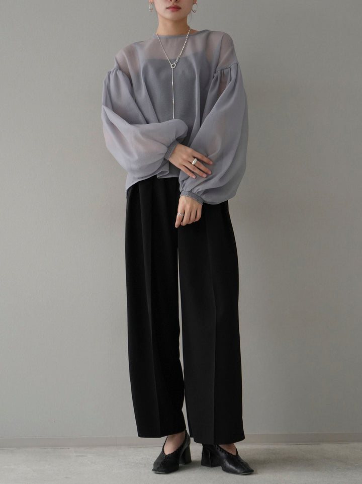 [SET] Volume sleeve washer sheer blouse + double tuck wide pants (2set)