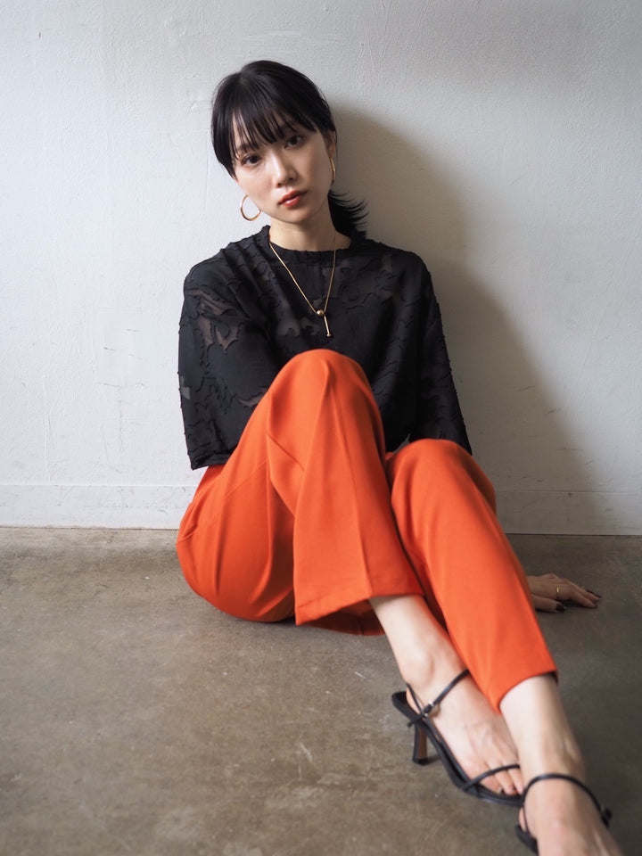 【預訂】透明提花半袖上衣/黑色